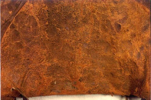 Red-rotten leather Red-rotten leather