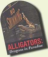 No Swimming - Alligators: Dragons in Paradise