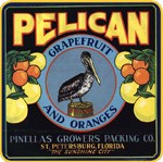 Pelican Grapefruit and Oranges Citrus Label