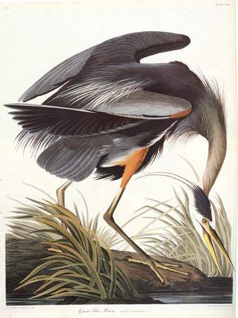 John James Audubon Exhibit