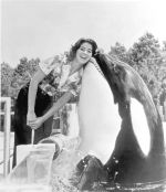 Killer whale "Shamu" at Sea World in Orlando, ca. 1980s