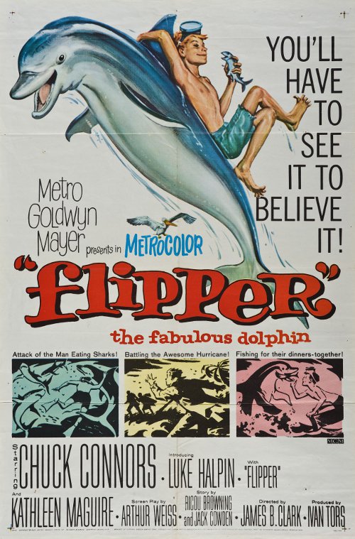 Flipper