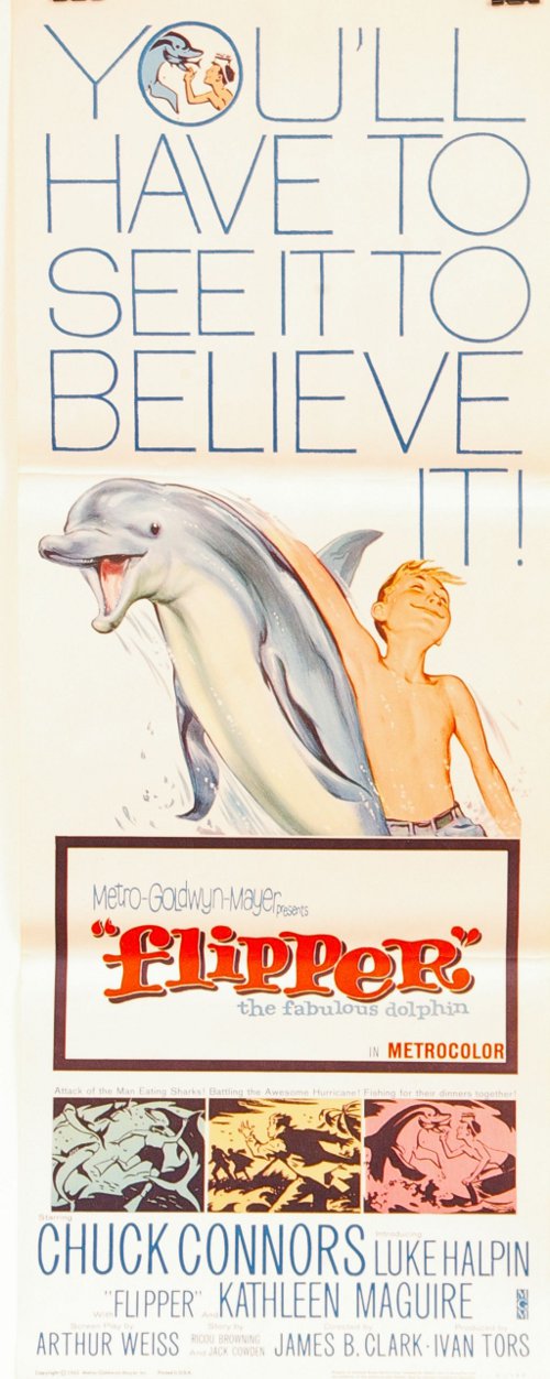 Flipper