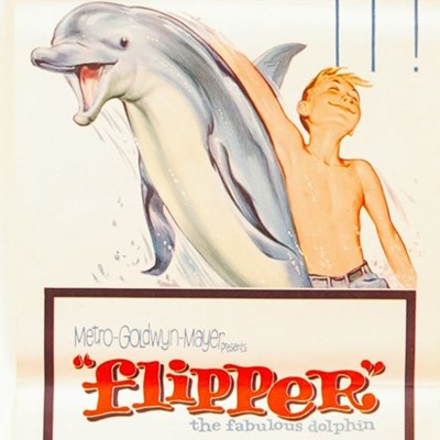 Flipper, 1963