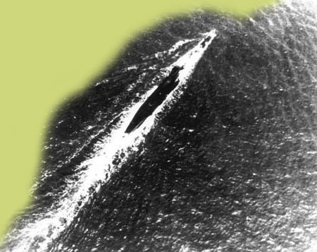 Florida on the Home Front: The German Submarine Threat off Florida's Coast Florida on the Home Front: The German Submarine Threat off Florida's Coast