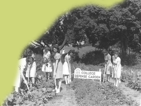 Students at Florida State College for Women in Tallahassee tending their Victory Garden Students at Florida State College for Women in Tallahassee tending their Victory Garden