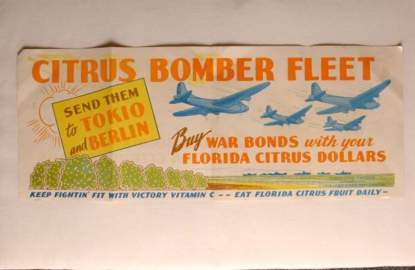 Citrus Bomber Fleet Poster