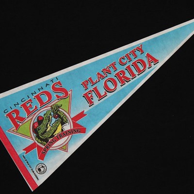 Cincinnati Reds pennant