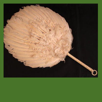 Early Environmental Movement