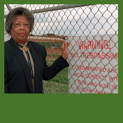 Modern Environmental Movement