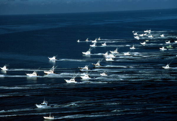 Fishing Clubs and Tournaments