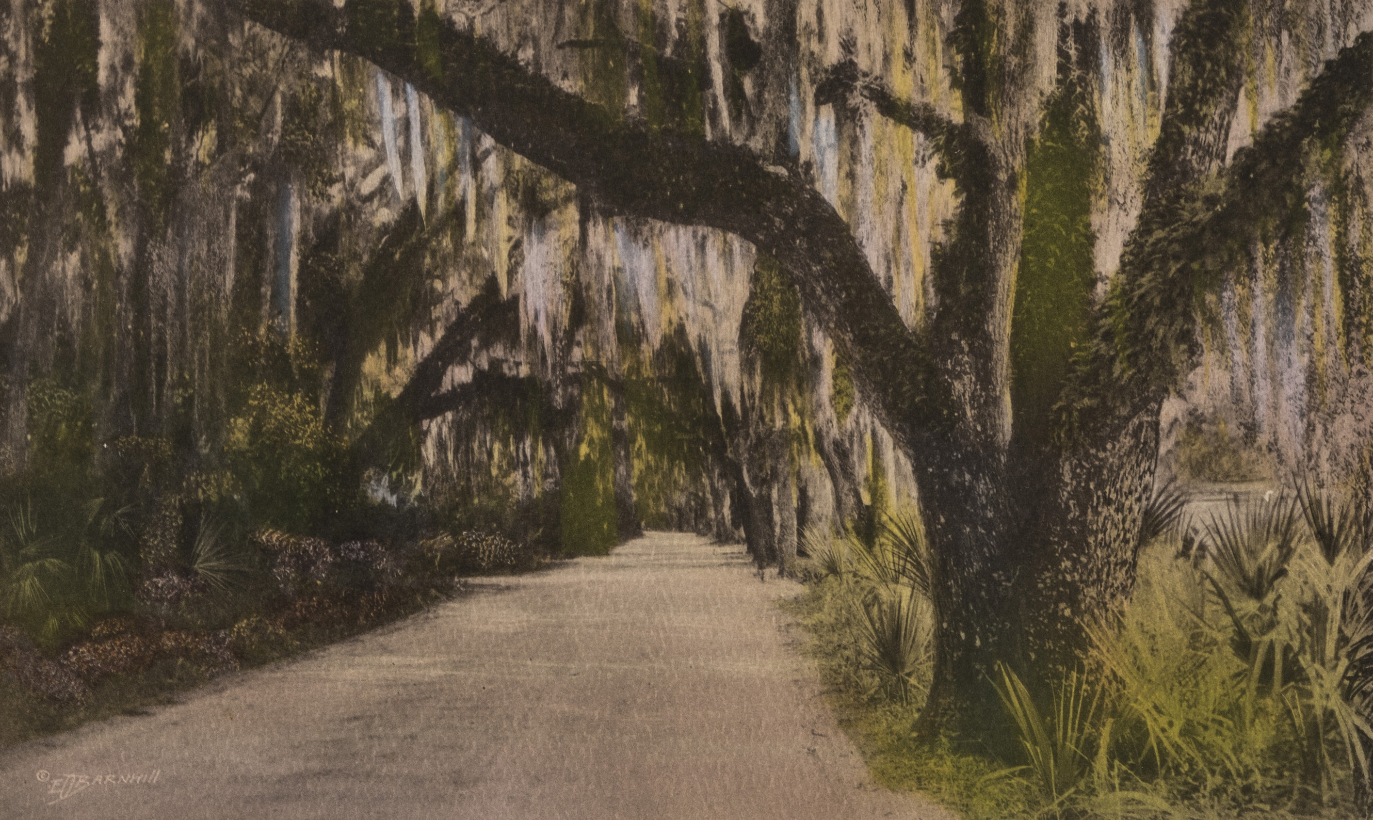 Esmond G. Barnhill (1894–1987)