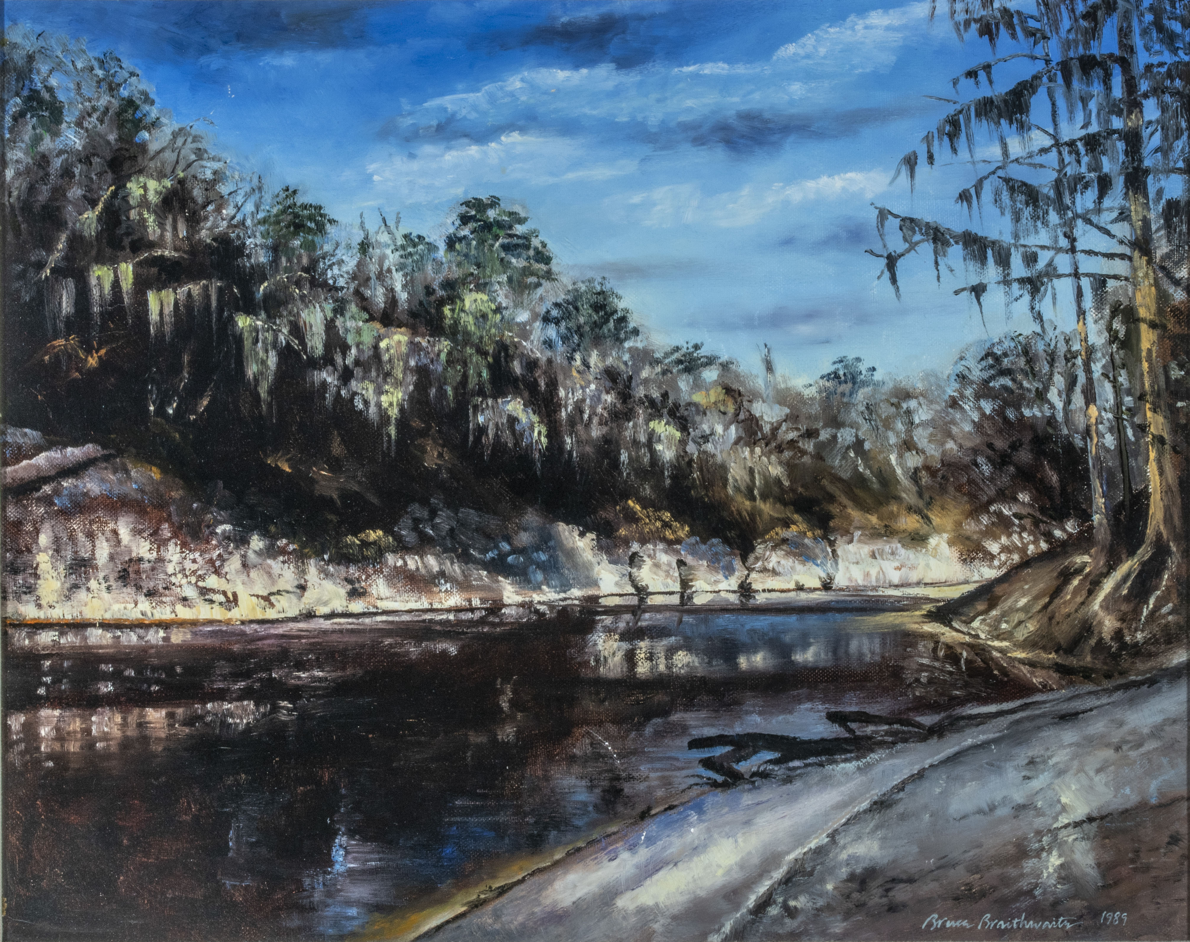 Braithwaite, Bruce  (1950–)