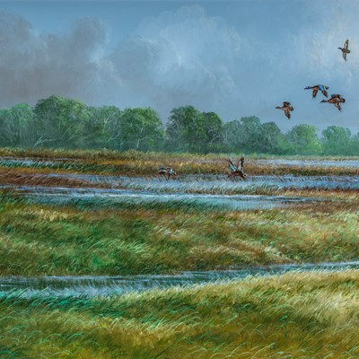 Butler, Robert  (1943–2014)