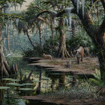 Essenburg, Ben  (1948–2018)