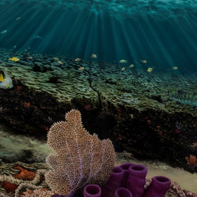 Feldmesser, Alan  (1973–)