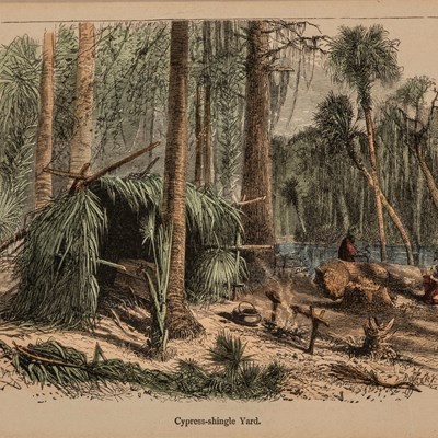 Fenn, Harry (1845–1911)