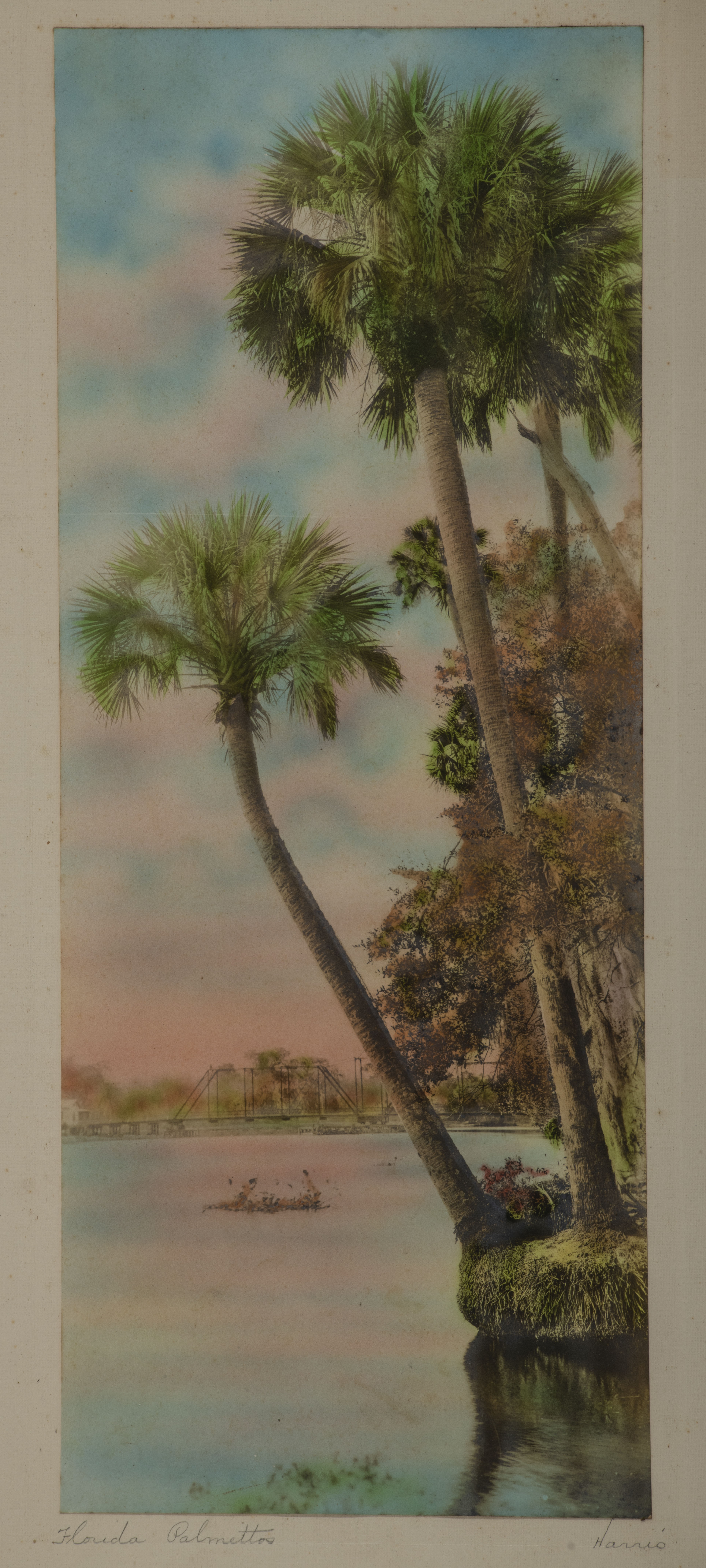 Harris, William (1868–1940)