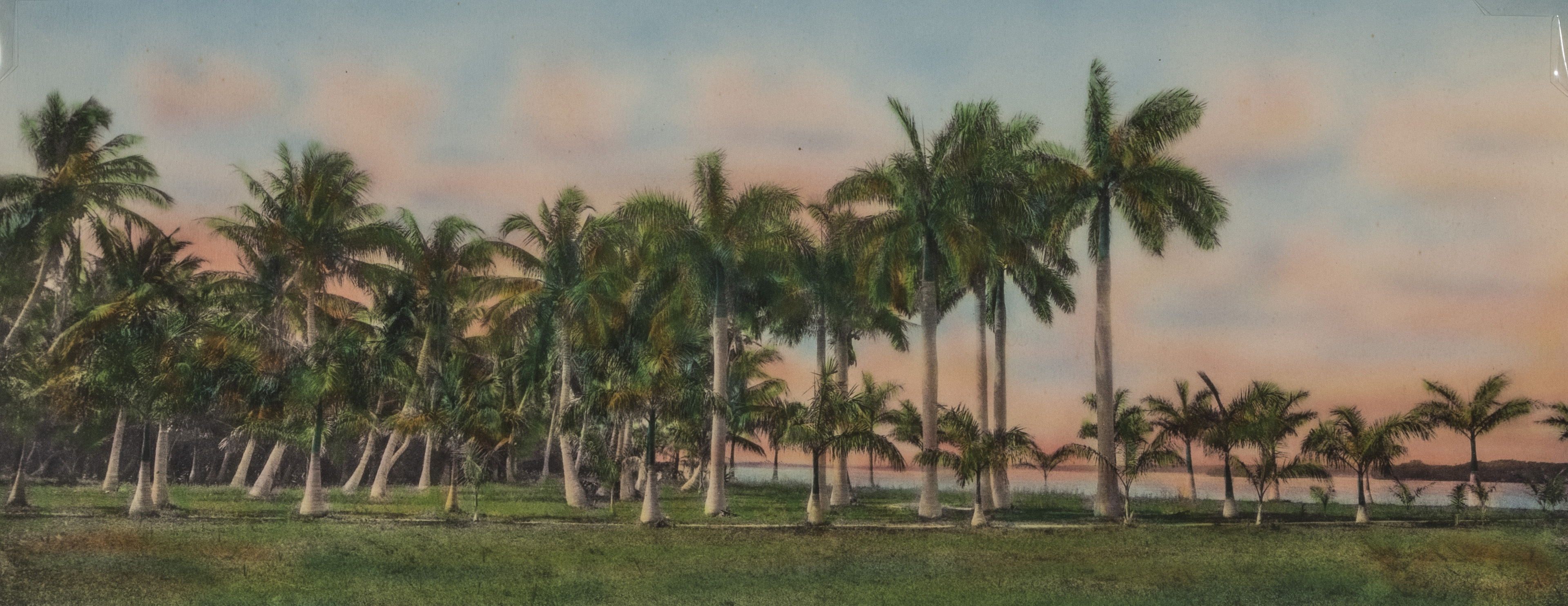 Harris, William (1868–1940)