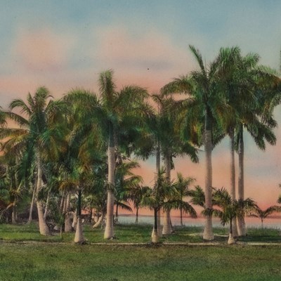 Harris, William (1868–1940)