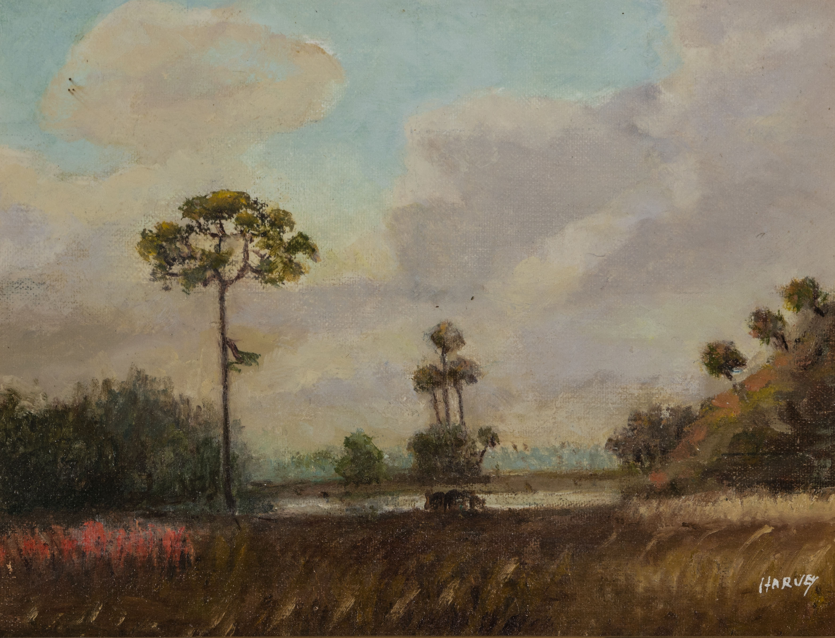 Harvey, Edna Morris (1904–1995)