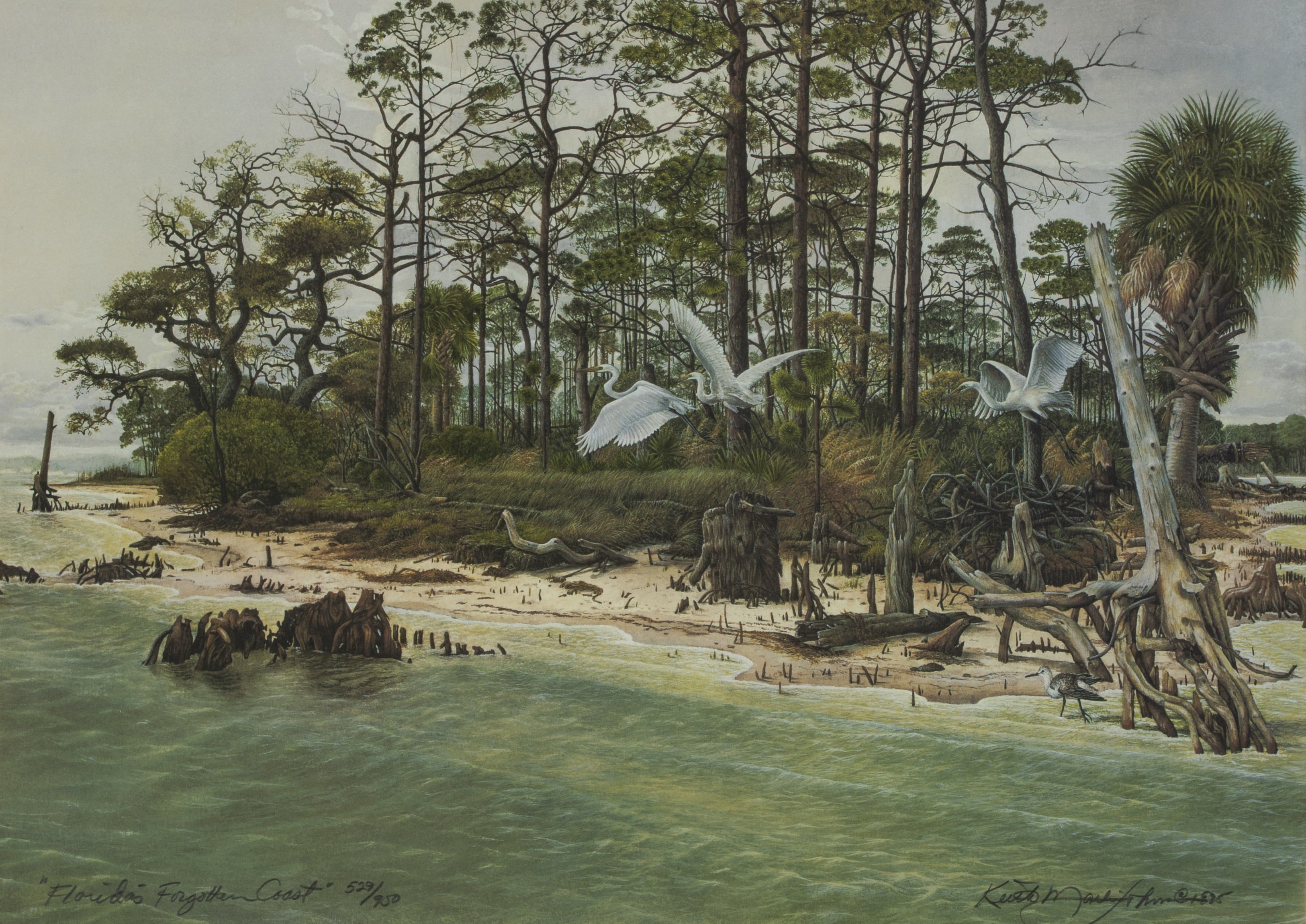 Johns, Keith Martin (1954−)