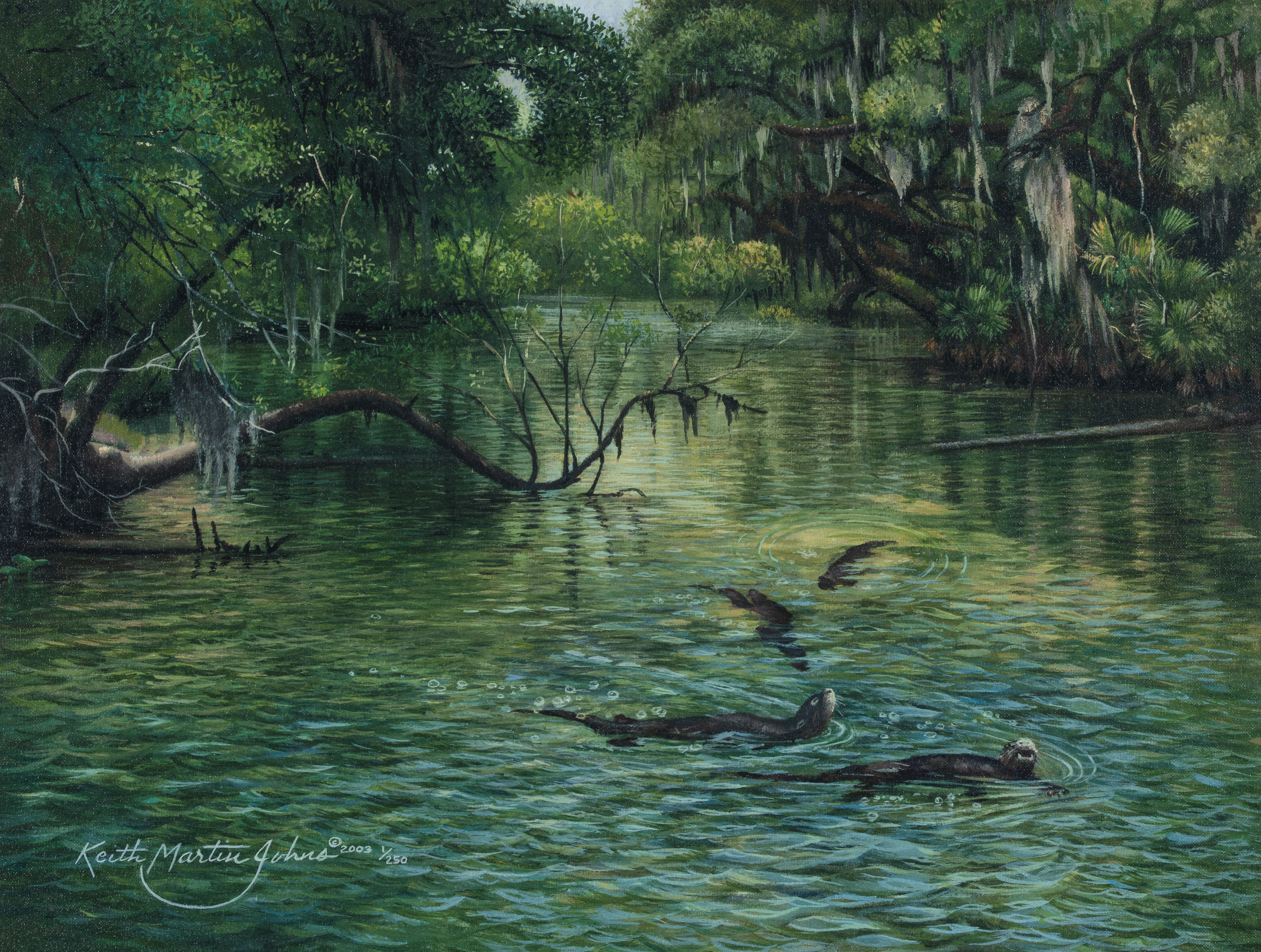 Johns, Keith Martin (1954–)