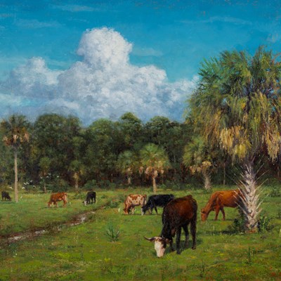 Kolbe, Mitch (1955–)