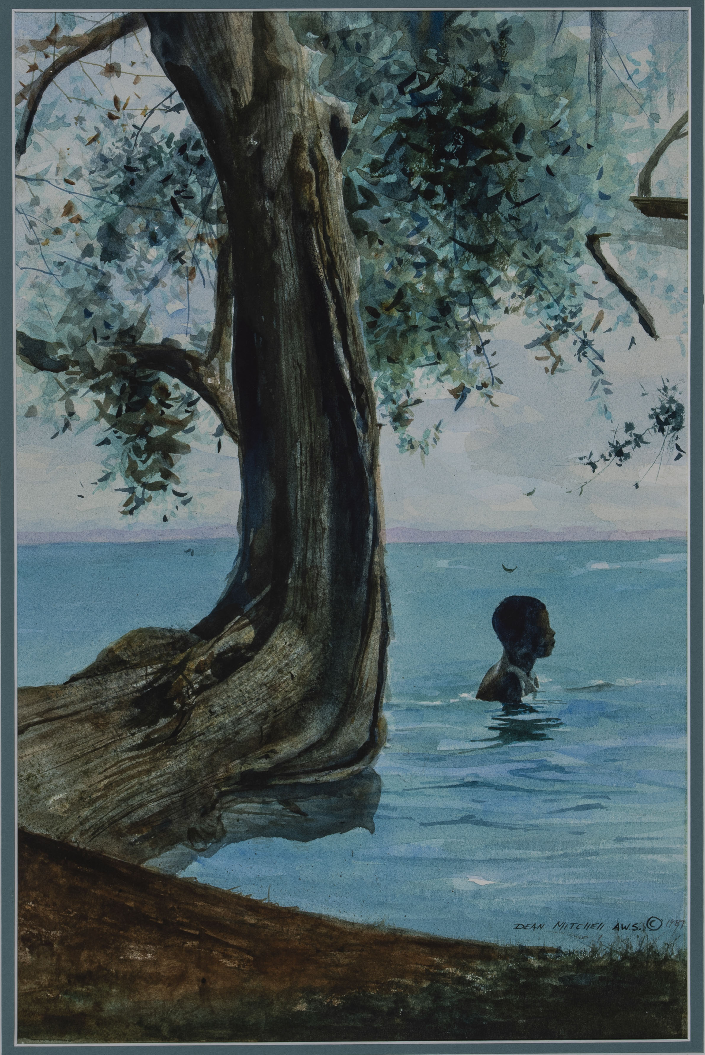 Mitchell, Dean (1957–)