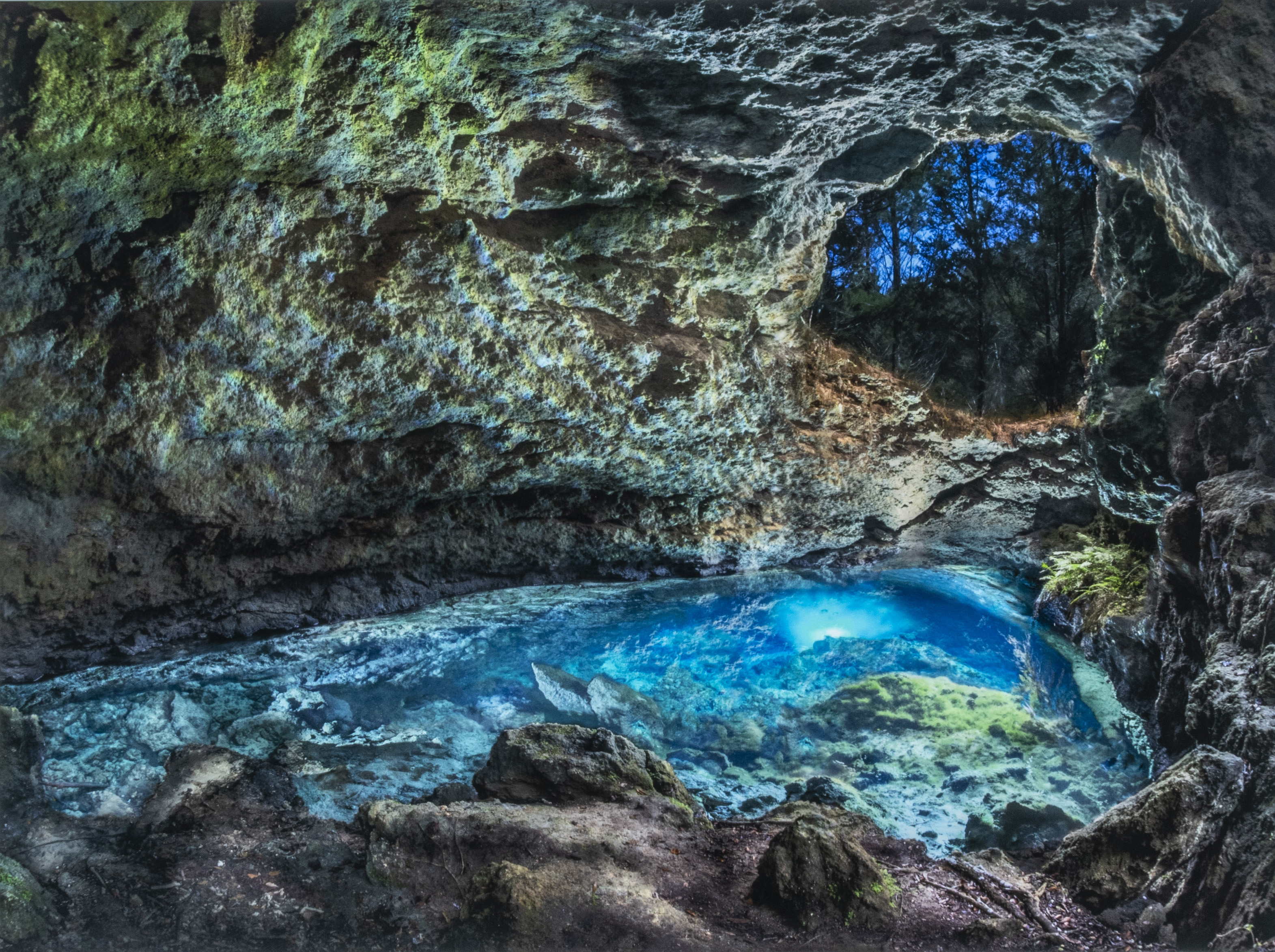 Moran, John and David Moynahan