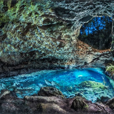 Moran, John and David Moynahan