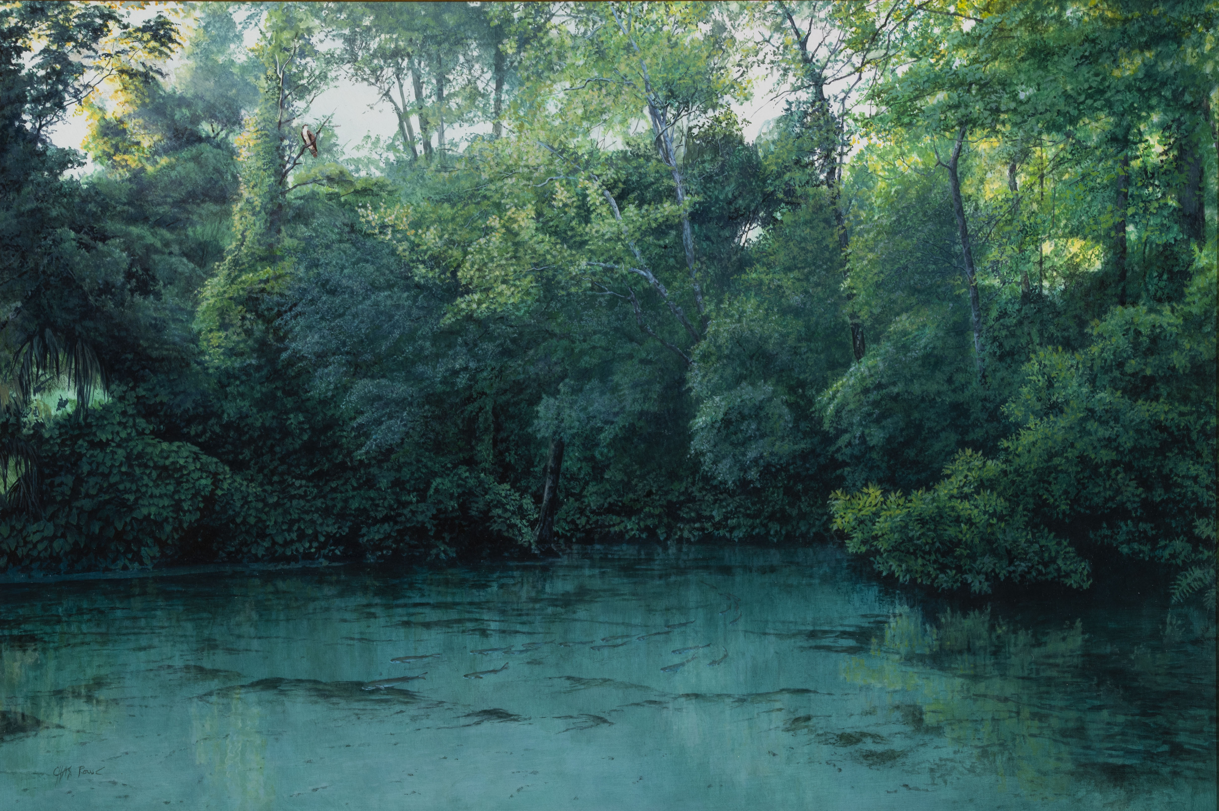 Rowe, Charles (1950–)