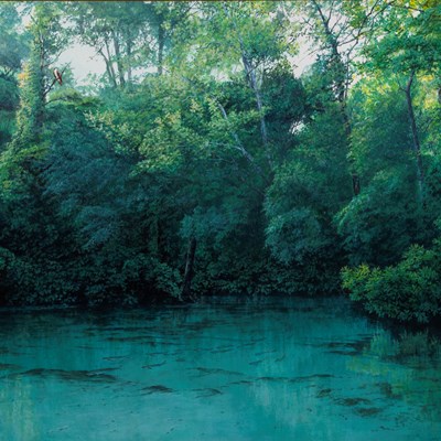 Rowe, Charles (1950–)