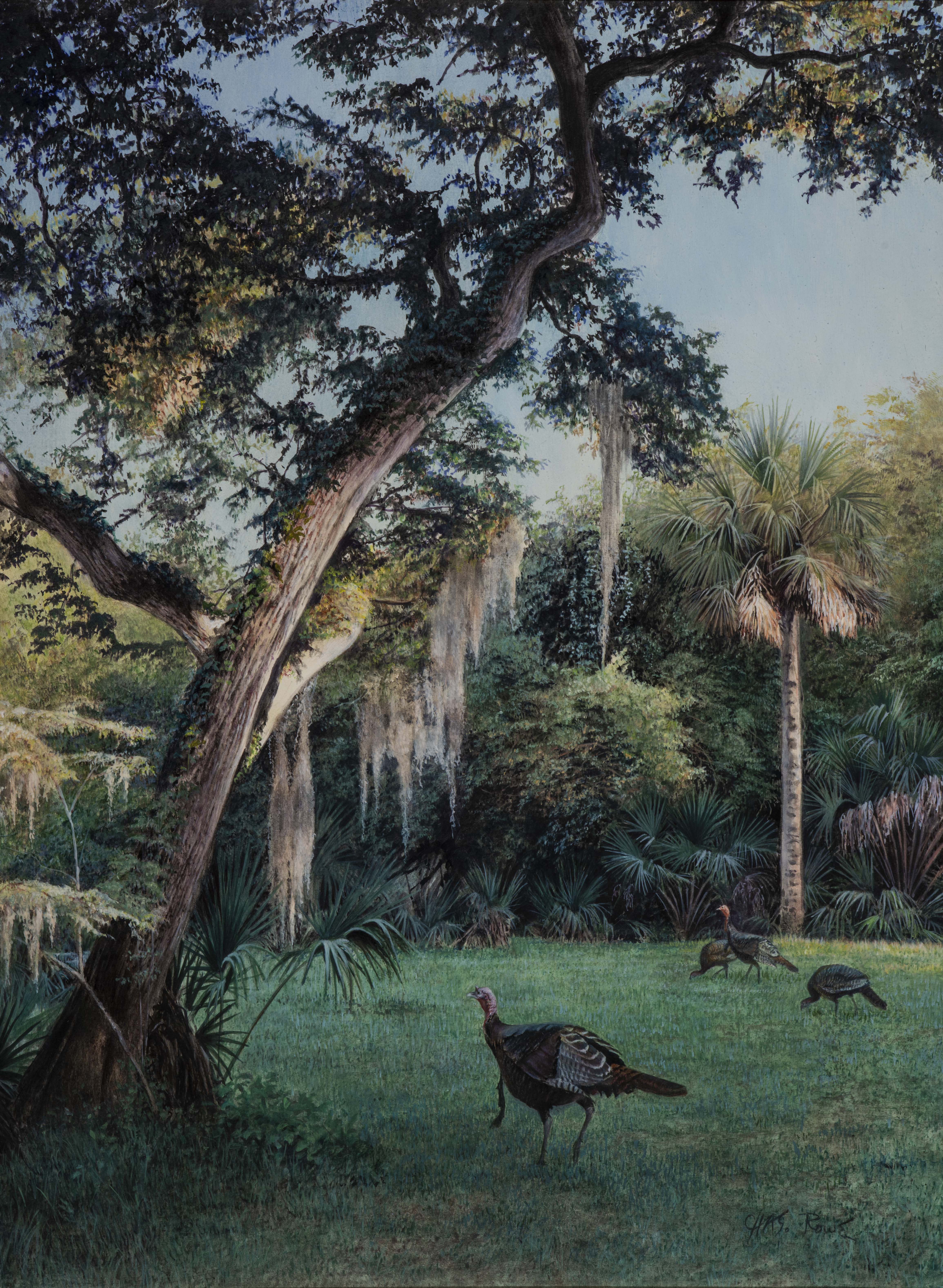 Rowe, Charles (1950–)