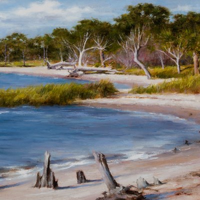 Solieau, Hodges (1943–)