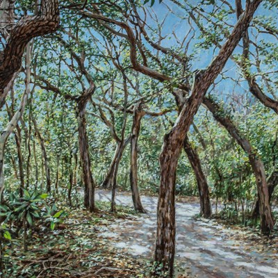 Tassey,  John (1939–2018)