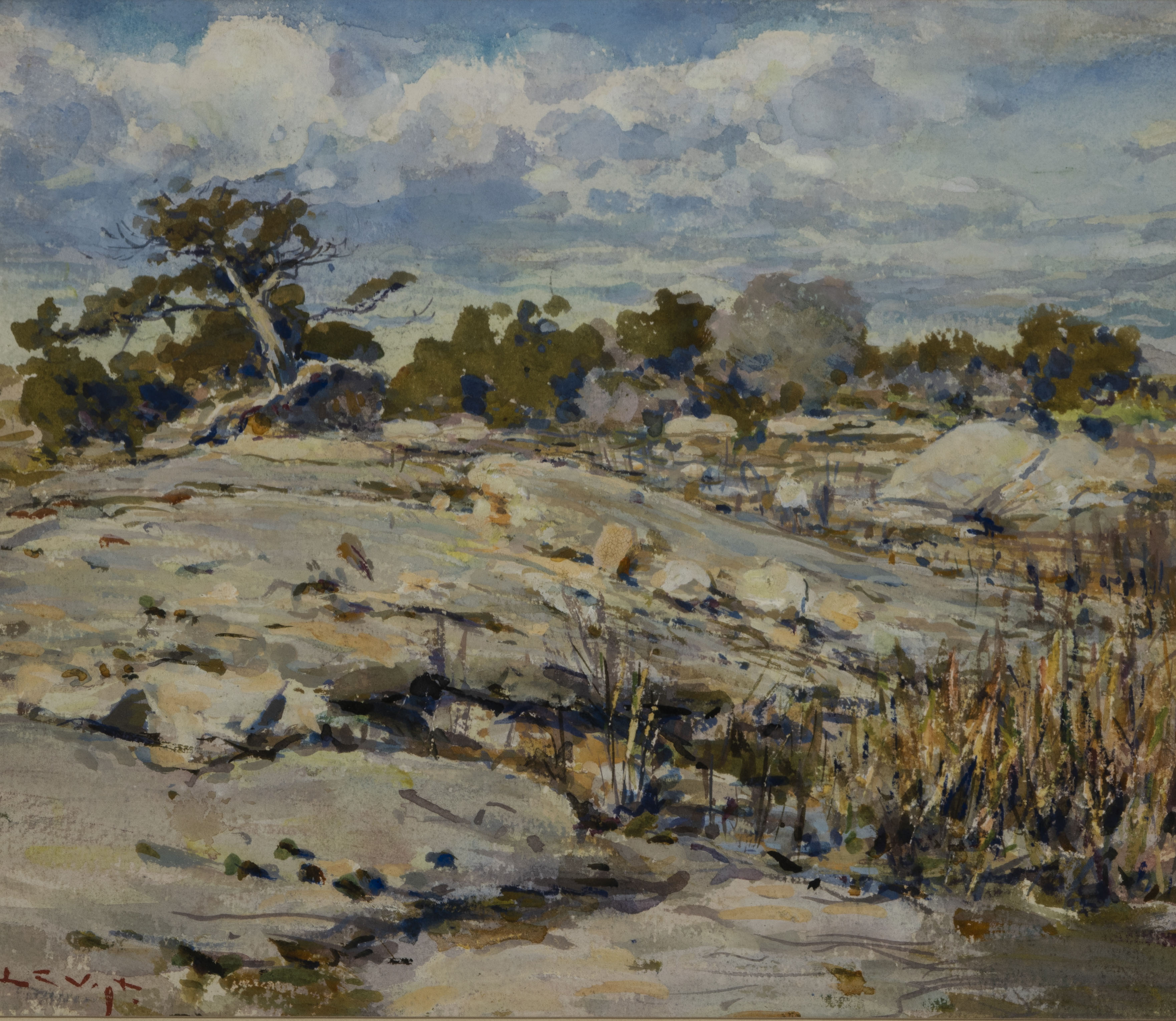 Vogt, Louis Charles (1864–1939)