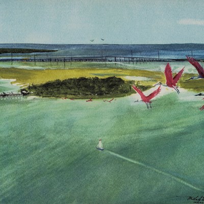 Wells, Millard (1921−2012)