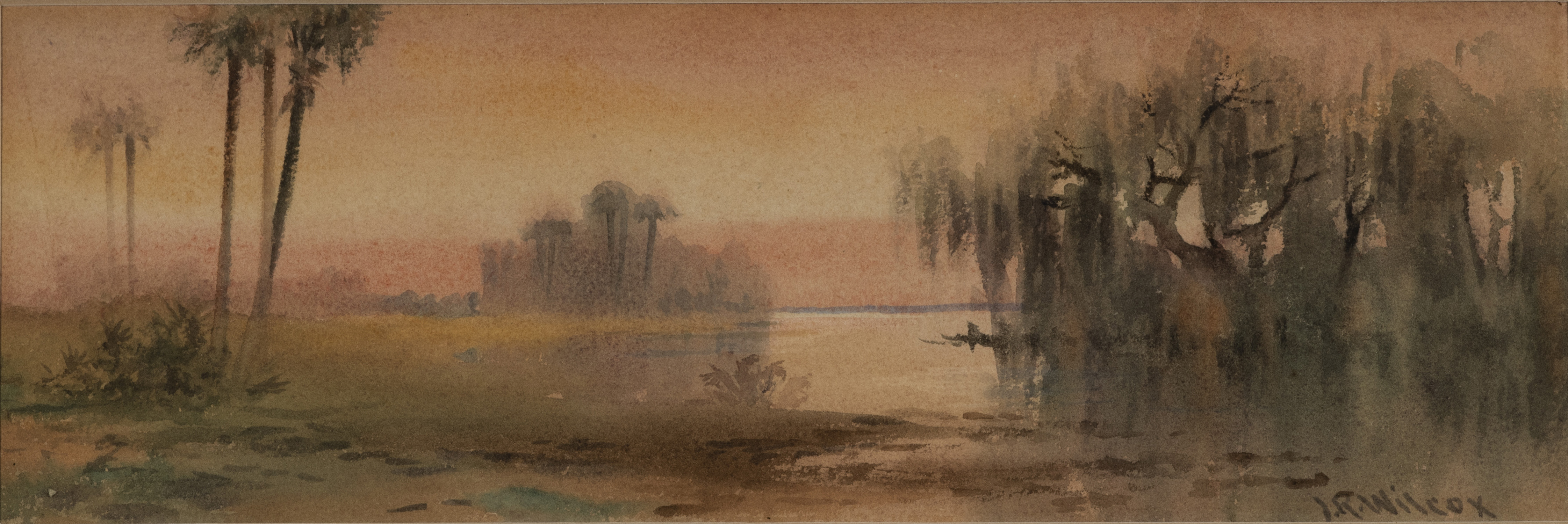 Wilcox, J. Ralph (1866–1915)