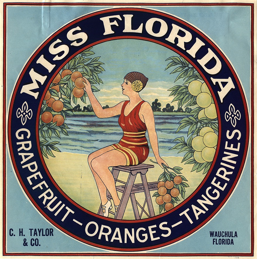 Souvenir Excelsior スカラ座博物館ポスター Museum of Florida History