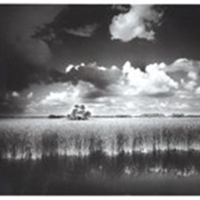 Visions of Florida: The Photographic Art of Clyde Butcher