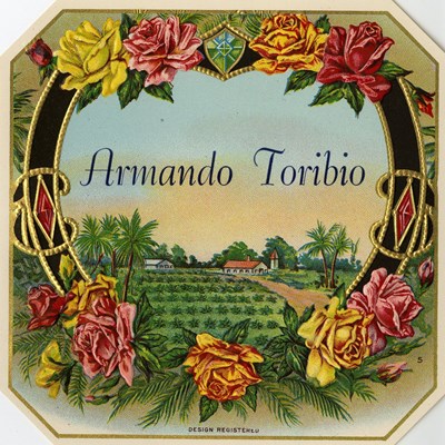 Armando Toribio