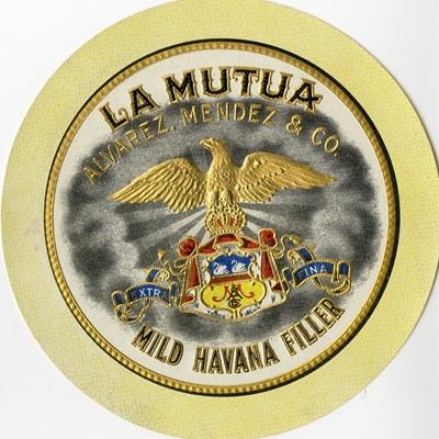 La Mutua