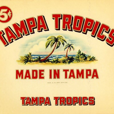 Tampa Tropics