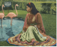 Seminole People of Florida: Survival and Success