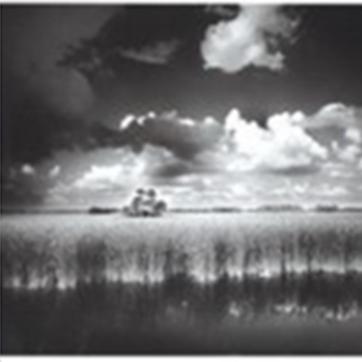 Visions of Florida: The Photographic Art of Clyde Butcher