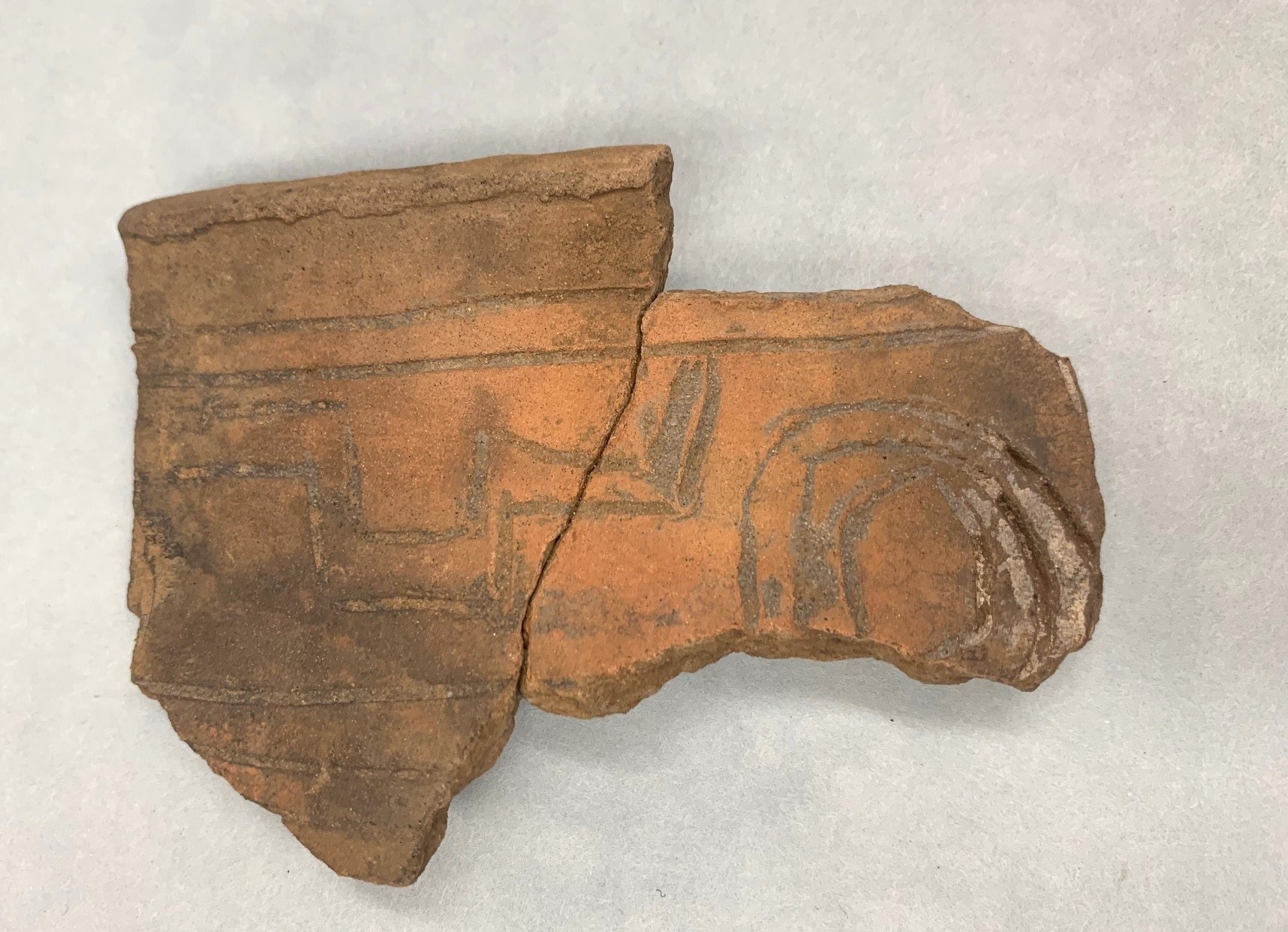 Fort Walton/Englewood incised pottery sherd, ca. 900–1100