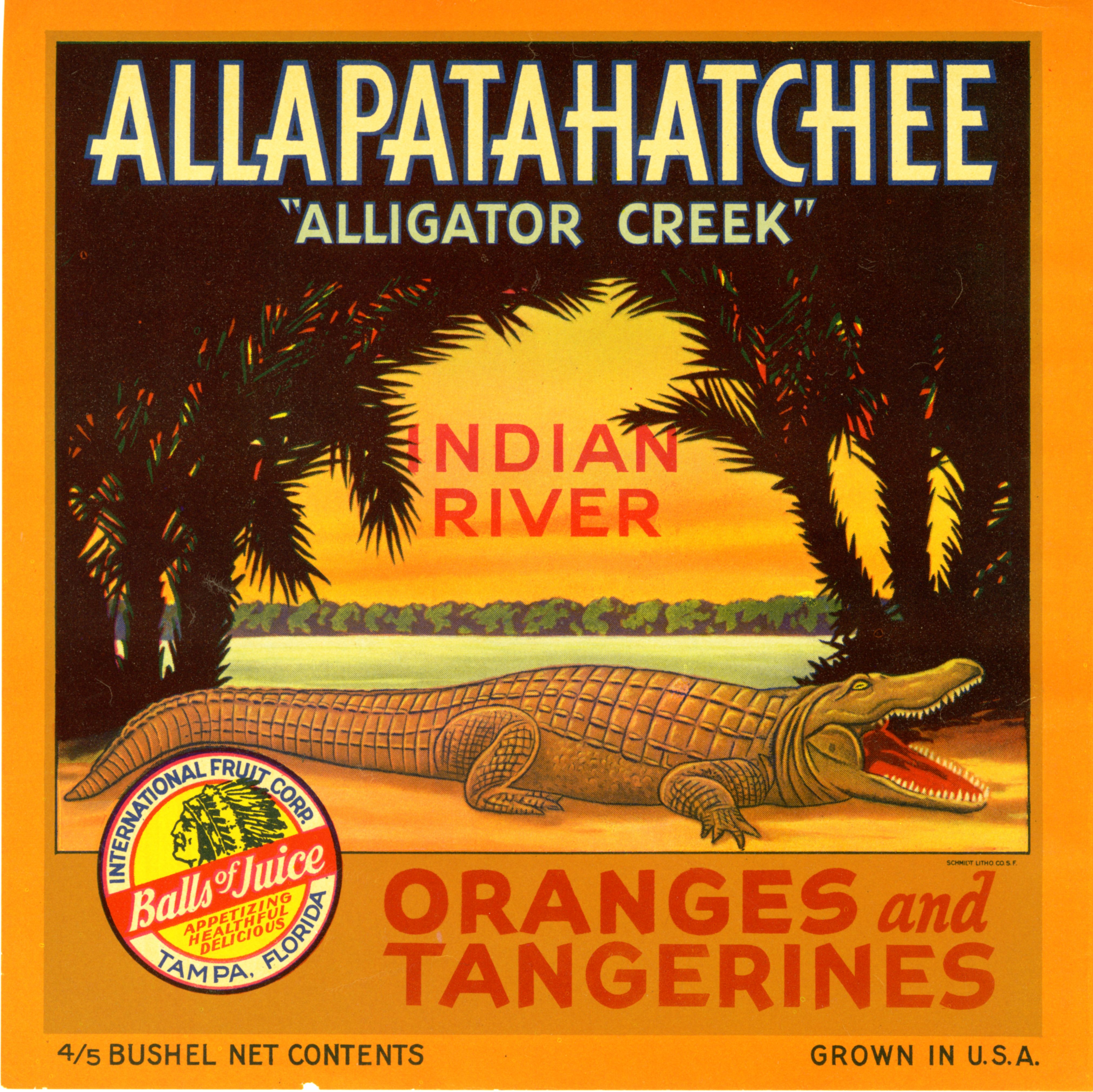 Allapatahachee