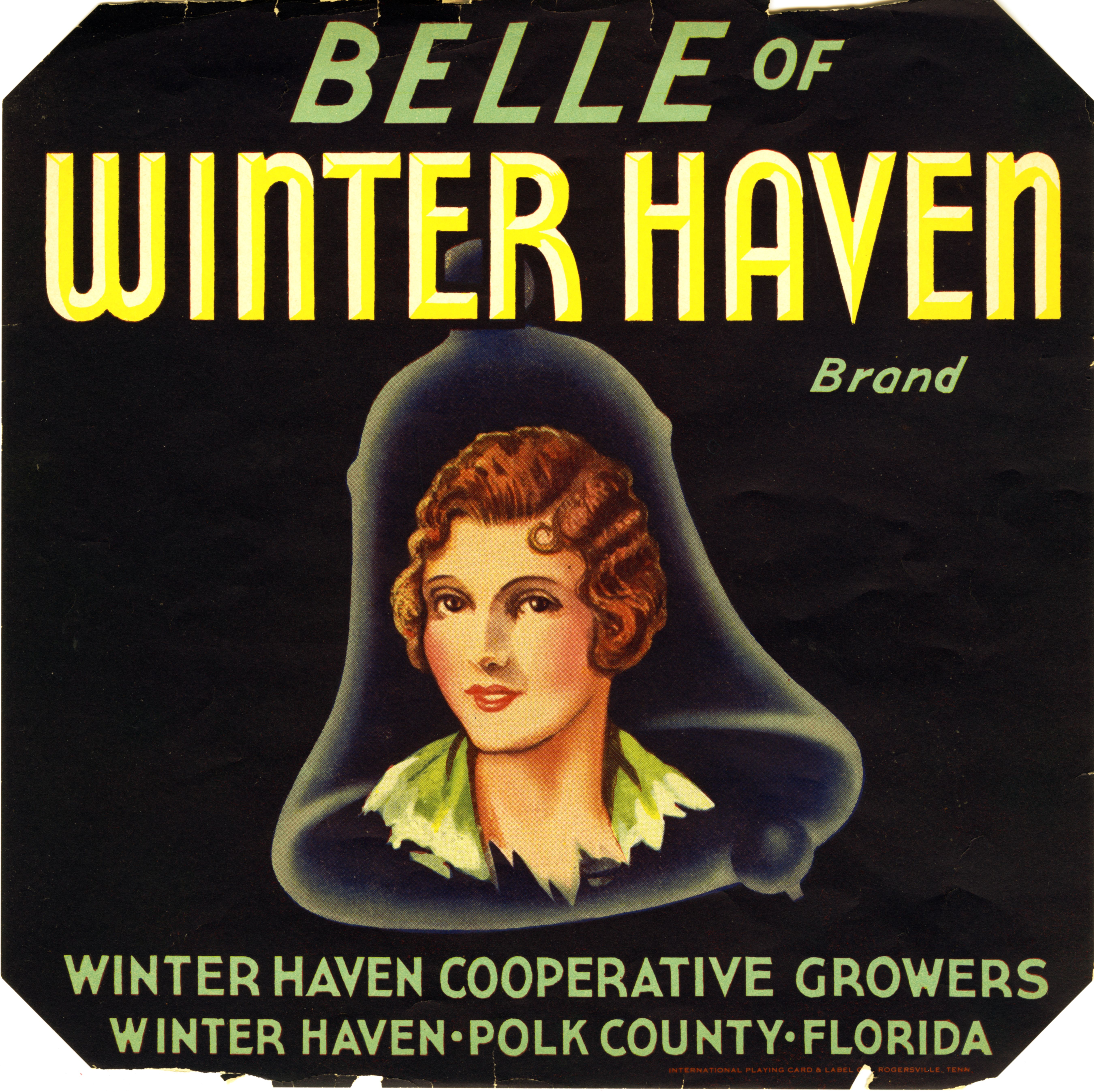 Belle of Winter Haven Brand
