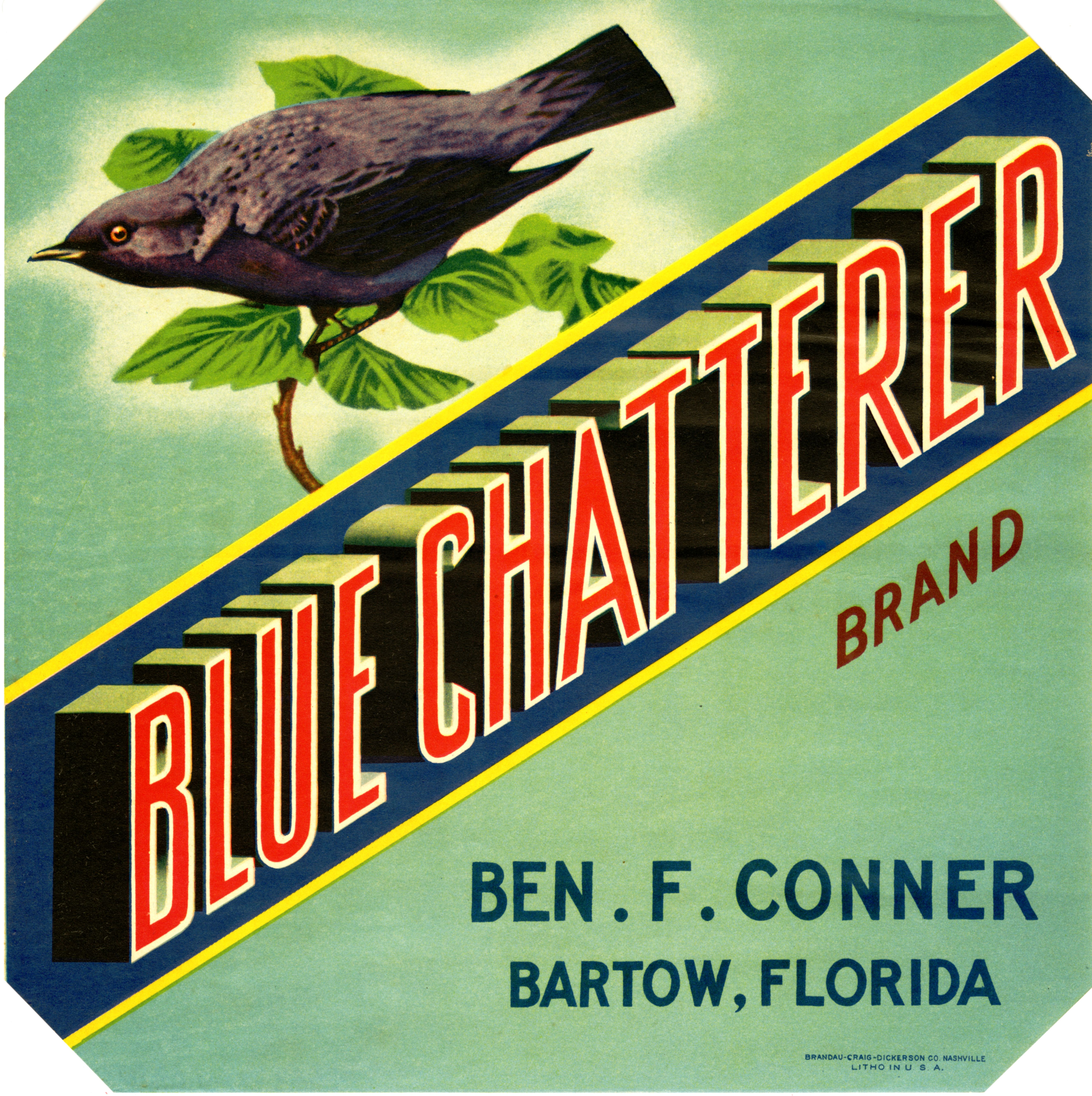Blue Chatterer Brand